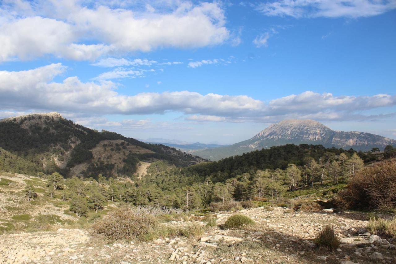 La Noguera Casa Rural Huéscar Екстериор снимка