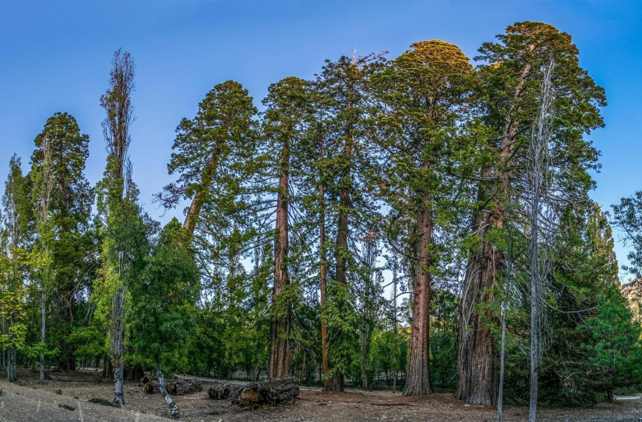 La Noguera Casa Rural Huéscar Екстериор снимка